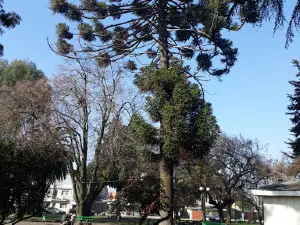 Plaza Bunster