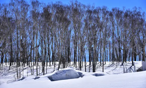 Nakayamatoge Ski Field