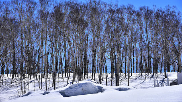 Nakayamatoge Ski Field