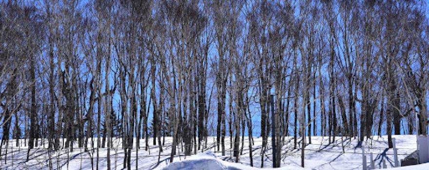 Nakayamatoge Ski Field