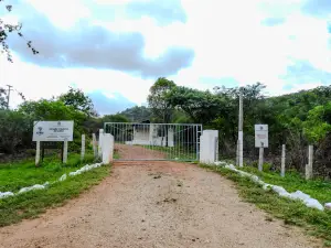 Estação Ecológica do Seridó