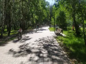 Park Im. Andreya Alekseyevicha P. Luchshego Druga