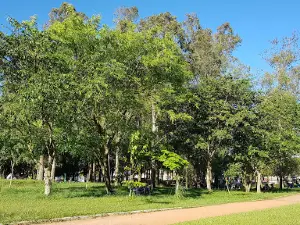 University Park Square