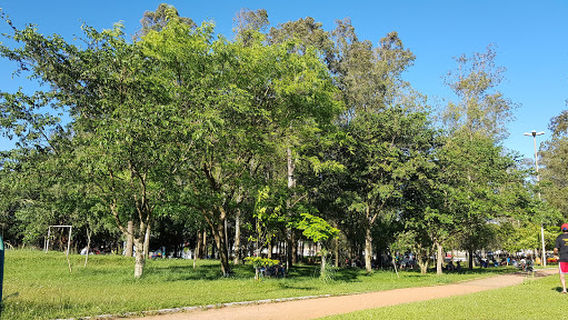 University Park Square