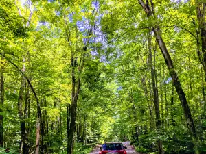 Bagley Rapids Campground