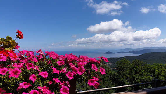 Pulau Elba