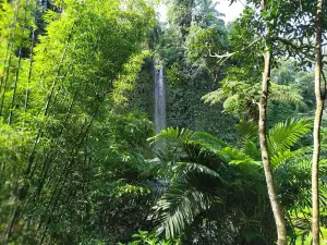 Air Terjun Sampuran Widuri