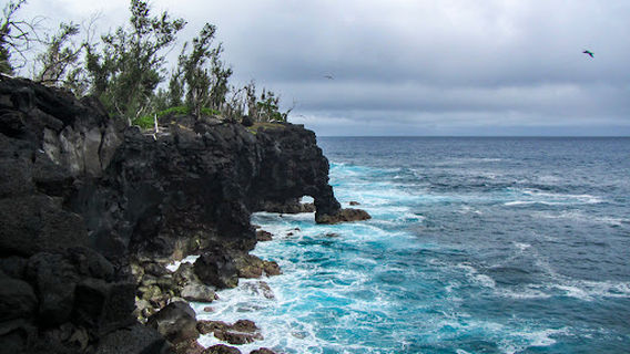 Haveluliku