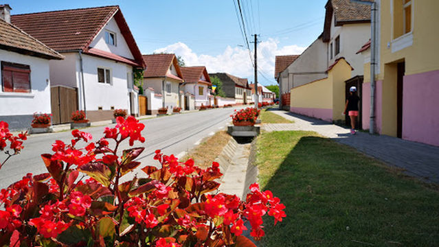 camping De Oude Wilg