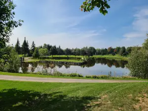Club De Golf Des Bois-Francs Inc