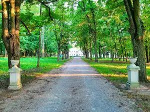 Pałac Nogalin