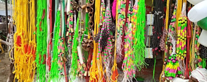 Animal mela
