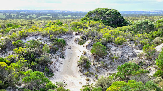 Little Sahara Adventure Centre