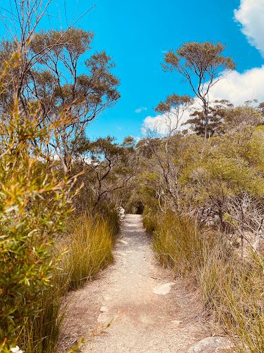 Springbrook National Park Canyon Lookout