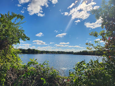 McKinley Woods