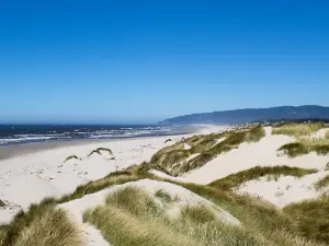Harbor Vista County Campground & Park