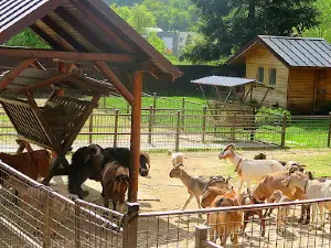 Mini ZOO Juško
