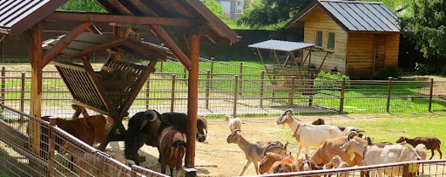 Mini ZOO Juško