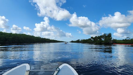 Go Cats On The Water