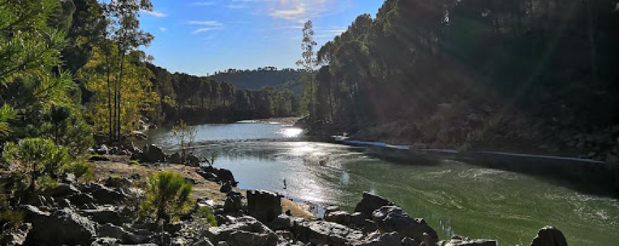 Presa de Calabazal