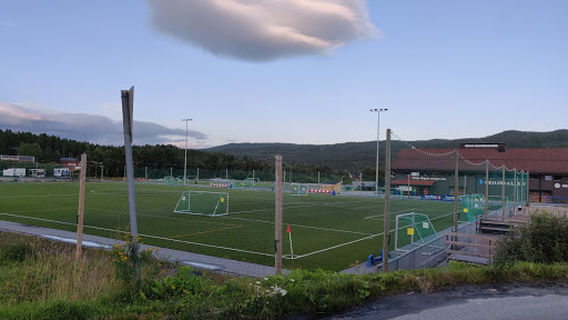 Geilo artificial turf
