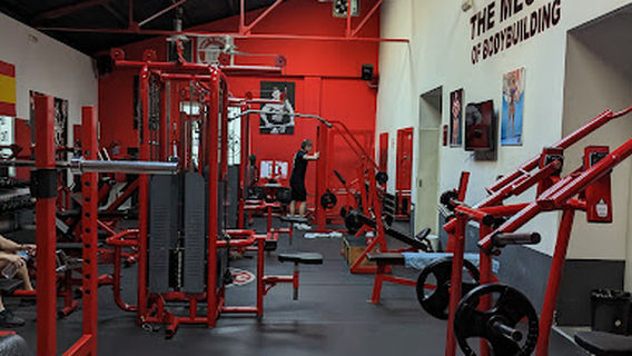 Iron`s Temple Gym