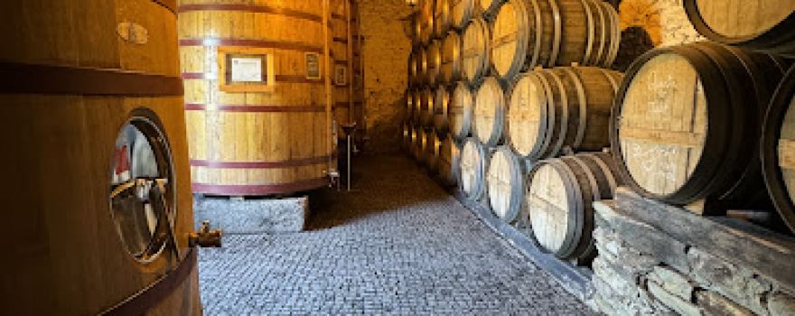 Douro Valley Wine Tours