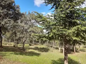 Parc Régionnal Aïn Ãanter Boucaid Tissemsilt