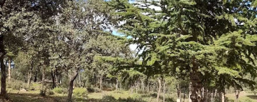 Parc Régionnal Aïn Ãanter Boucaid Tissemsilt