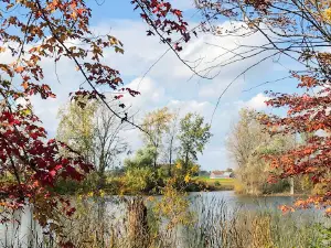 Isabella County Parks Herrick