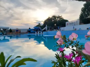 Havana Pool