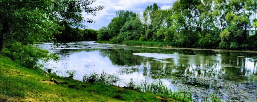 Backwater of Kis-Tisza