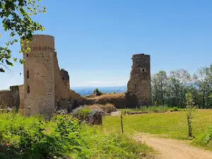 Castle of Pouzauges