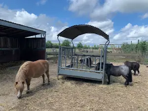 Kinderboerderij Den Ast