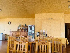 Gobi Tour Tourist camp