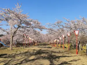 하야카게누마공원