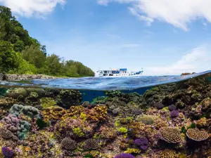 Bilikiki Cruises