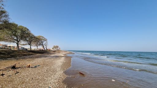 Al-Manumah Beach