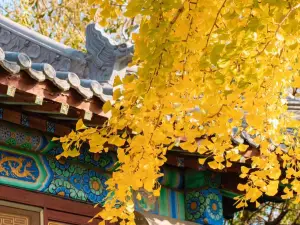 Top 20 Herfst uitzicht attracties in Weihai