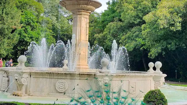 Campo Grande