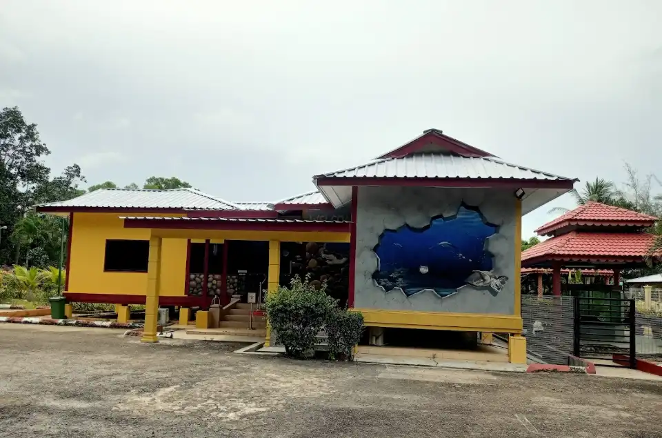 Turtle Conservation