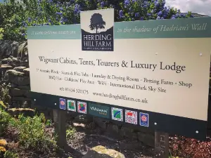 Herding Hill Farm - 5-star Camping & Glamping Site