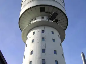 sektor.f