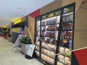 Timezone Palmerston North