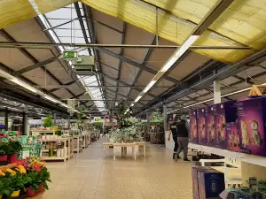 Gartencenter Wassenaar Bremen - Blumen, Gartenartikel und Tierbedarf