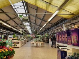Gartencenter Wassenaar Bremen - Blumen, Gartenartikel und Tierbedarf