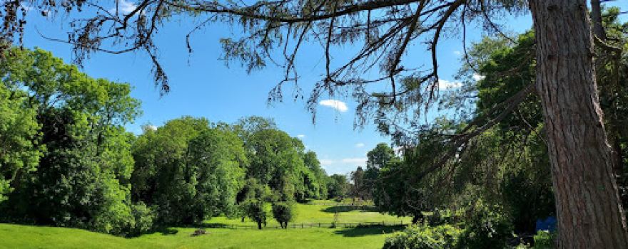 Stansfeld Park