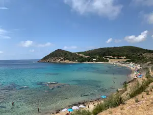 Poglina