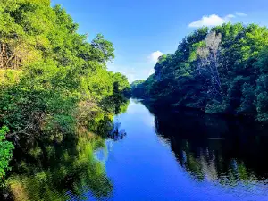Ortoire River