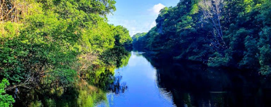 Ortoire River